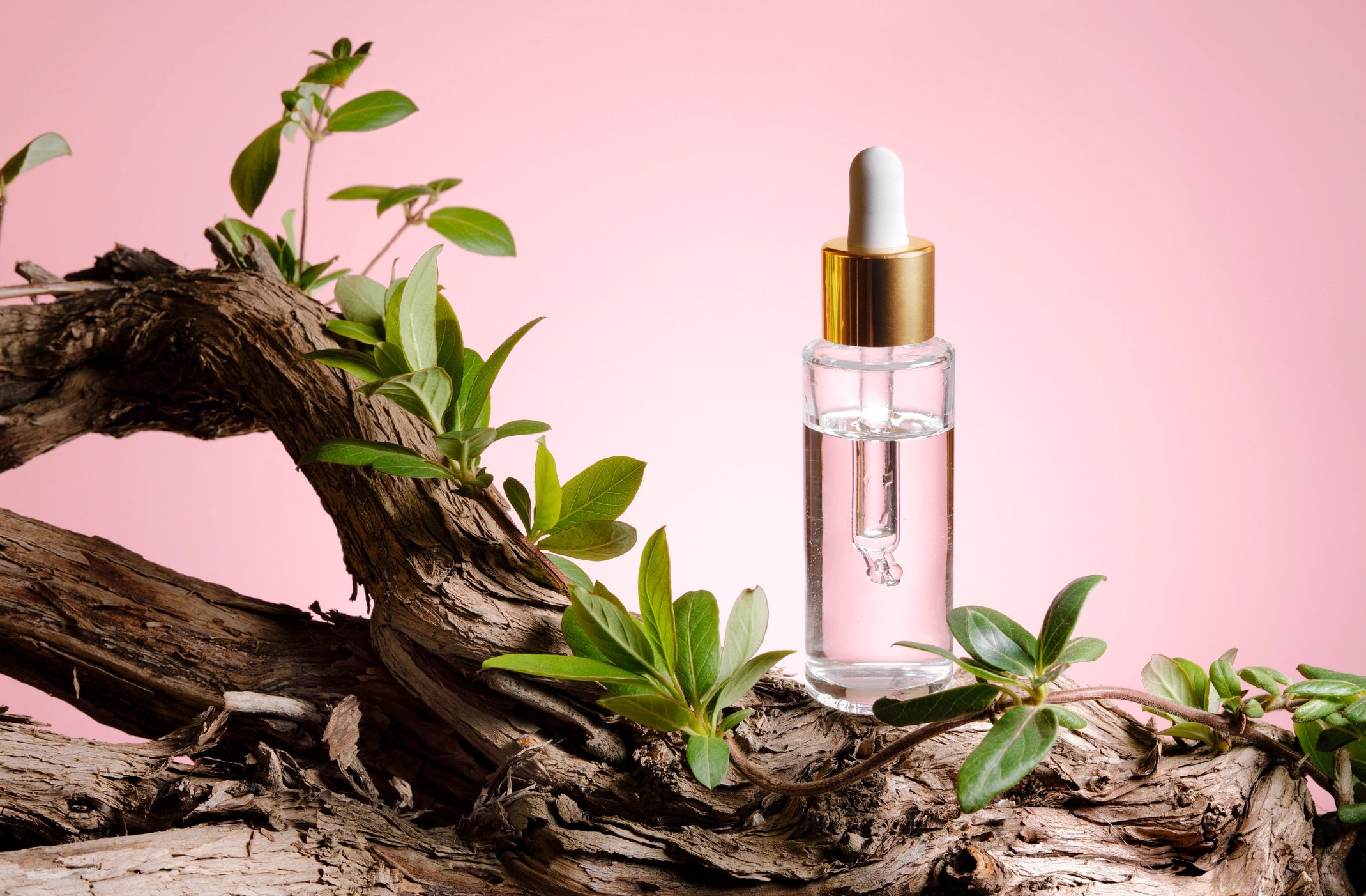 Serum bottle on natural surface with greenery
